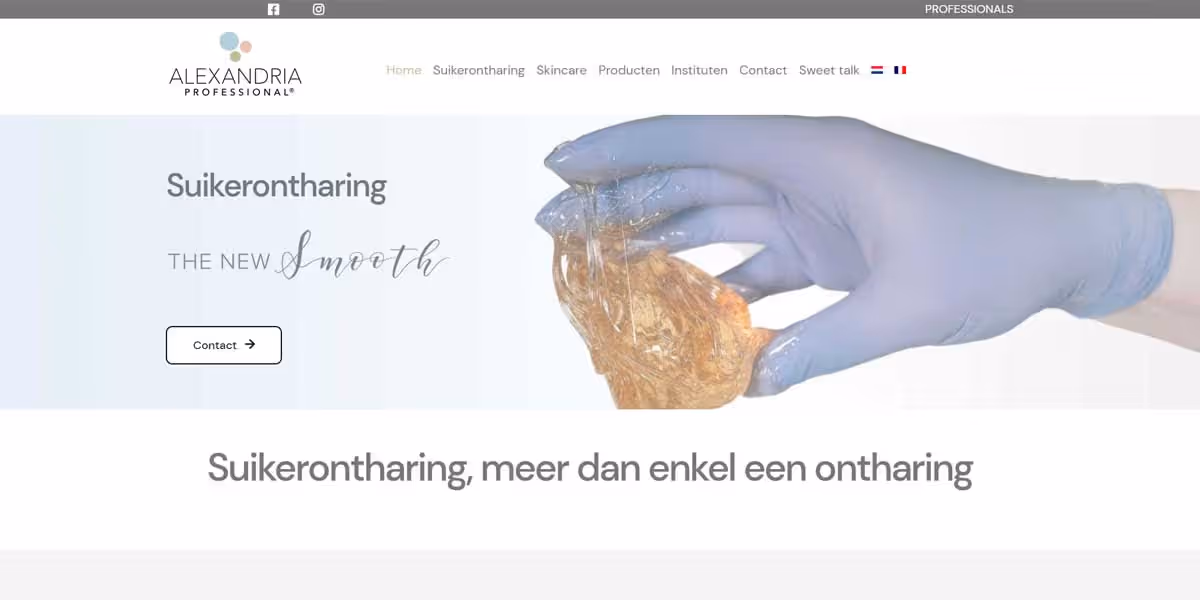 Websiteproject alexandriaprofessional