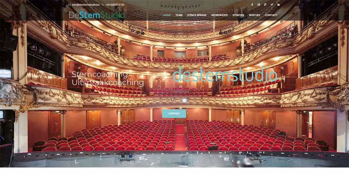 Websiteproject De Stemstudio