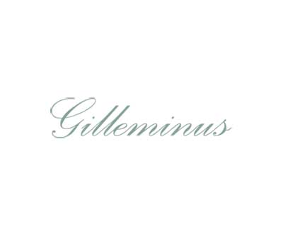 Website De Gilleminus