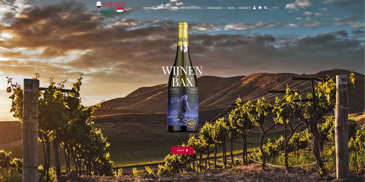 Websiteproject wijnen-bax